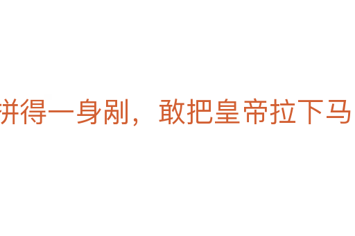 拼得一身剮，敢把皇帝拉下馬