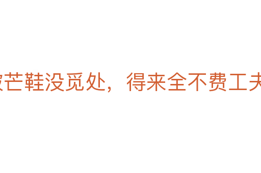 踏破芒鞋沒覓處，得來全不費(fèi)工夫