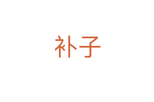 補(bǔ)子