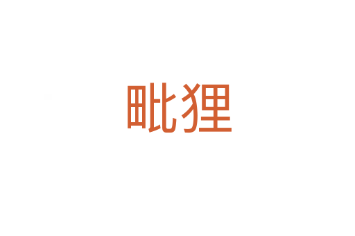 毗貍